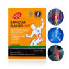Body Care Pain Patch Set 30 Pcs